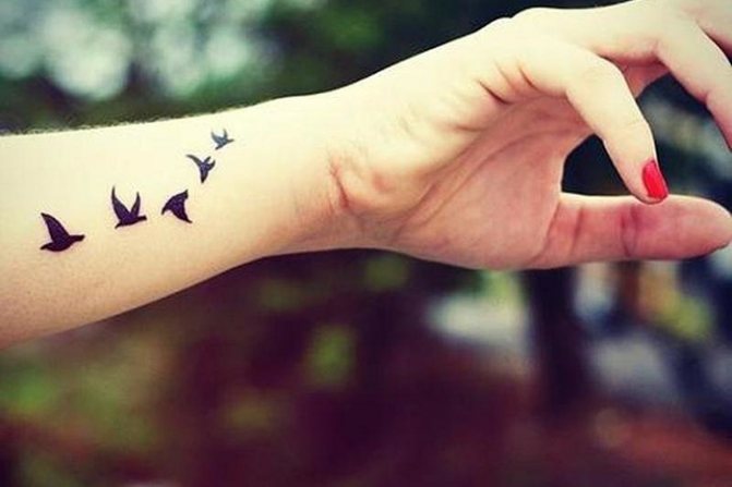 Tetování ptáků