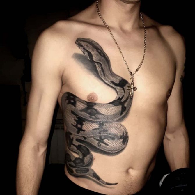 snake tattoo meaning