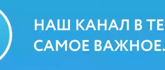 Canal de Telegram de Bagheera Guru