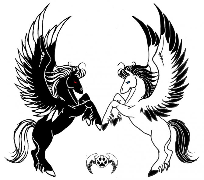 Pégase sombre et clair