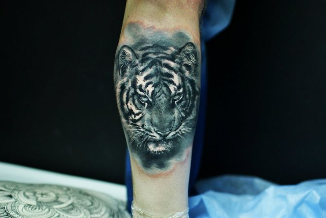 tatuaje de tigre