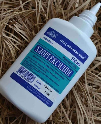 Des tunnels dans les oreilles des filles. Photographies, taille des tunnels, soins