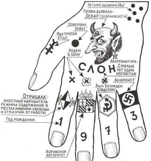 abréviations de la prison et signification