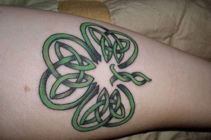 Modelli con le piante