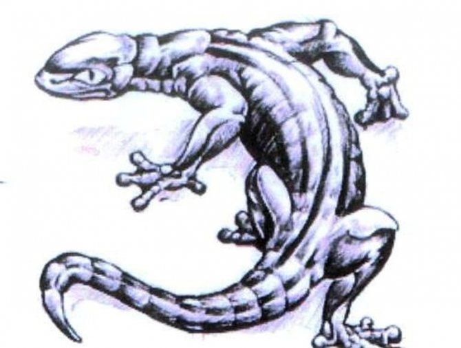 Скица Вариант за Dimensional Tattoo of a Varan