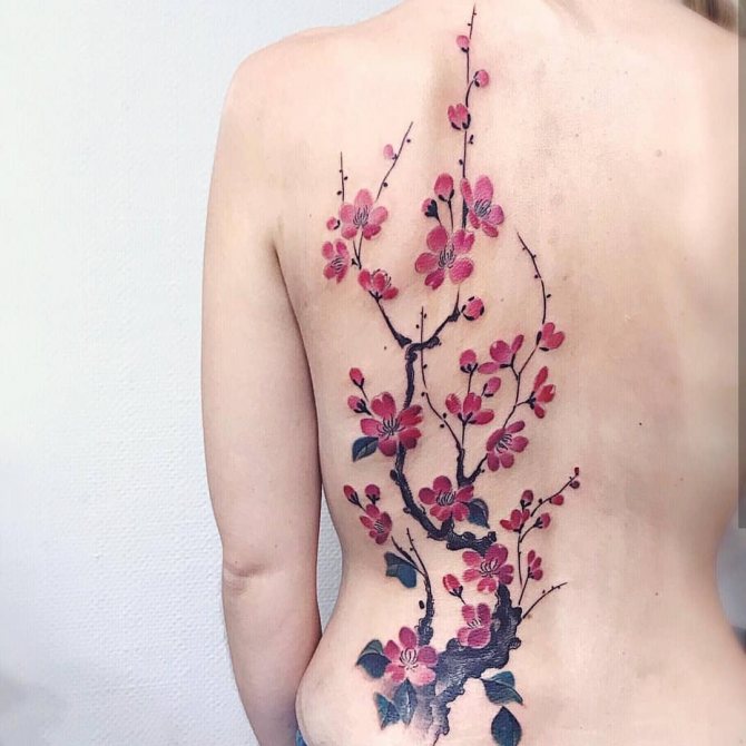 Branche de fleurs de cerisier sur le dos d'une femme