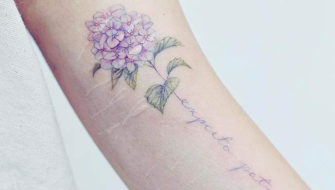 Une branche avec une inscription