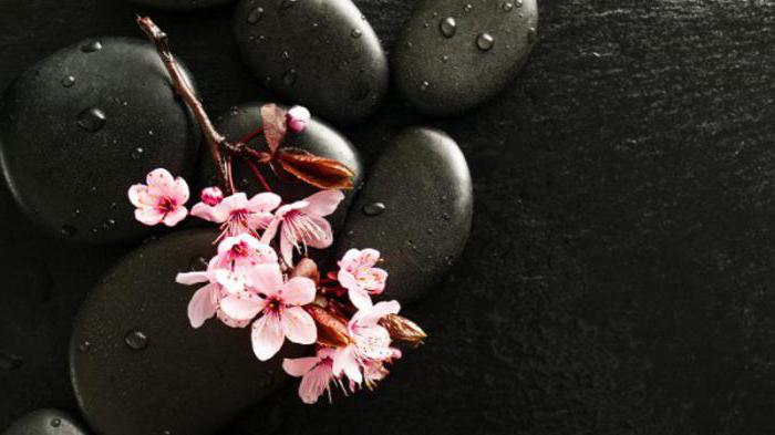 Hvad er en kirsebærblomst?