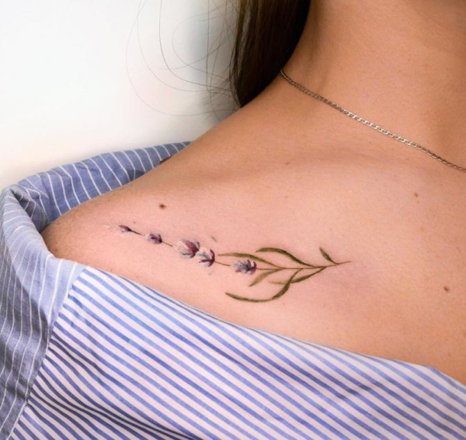 ramoscello tatuaggio