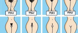 Tipi di tagli di capelli intimi femminili: design del bikini a casa