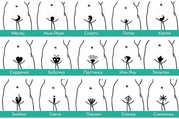 Types of female intimate haircuts: bikini design at home