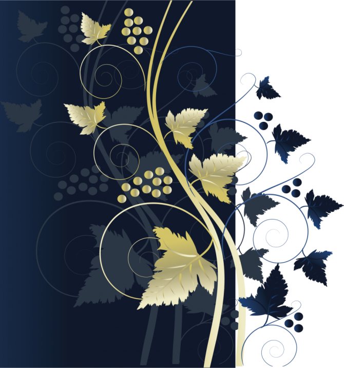 Grapevine - loyauté et dévouement