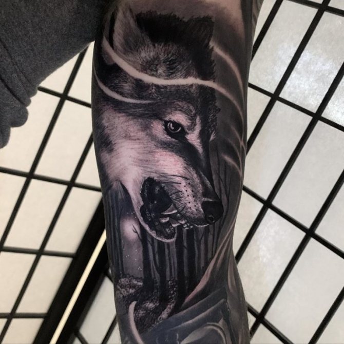 hundi irve tätoveering