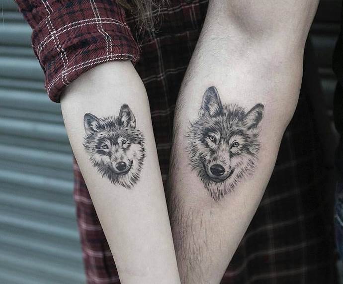 Le loup et la louve - le symbole de fidélité du couple parfait