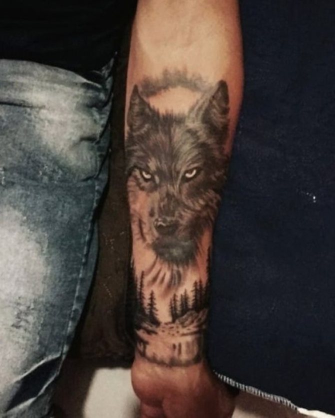 Wolf auf der Hand