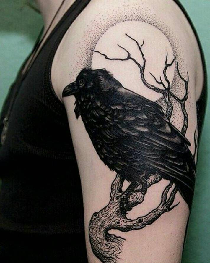 Corbeau sur un arbre