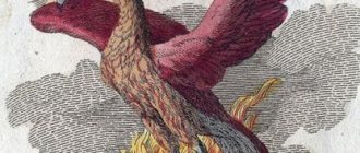 灰から蘇る不死鳥