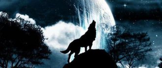 tatouage de lune de loup hurlant