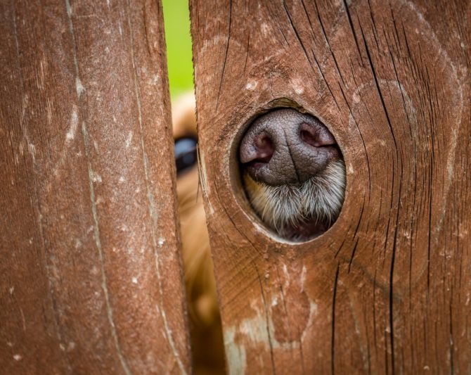 Journée mondiale du tatouage et Journée de la curiosité