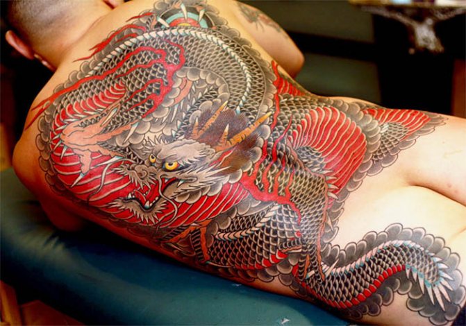 Dragon japonais. Sketches tatouage simple, couleur, image, signification