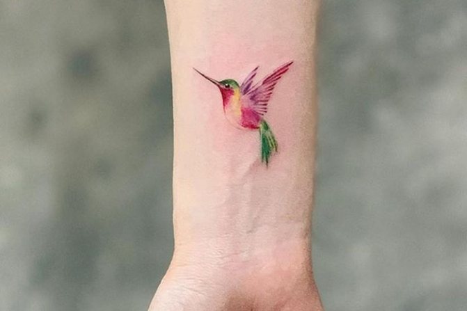 Colibri brillant