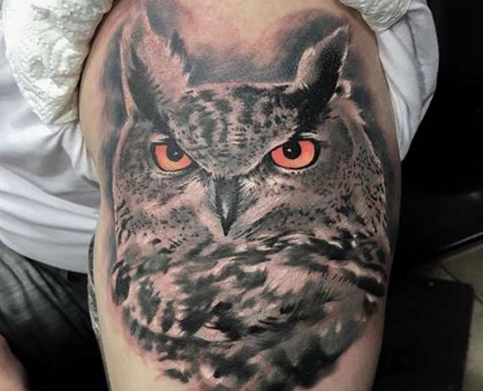 hibou aux yeux brillants