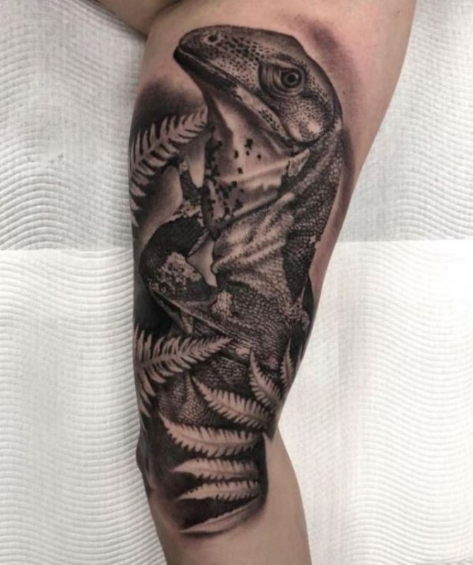 σχέδιο σαύρα