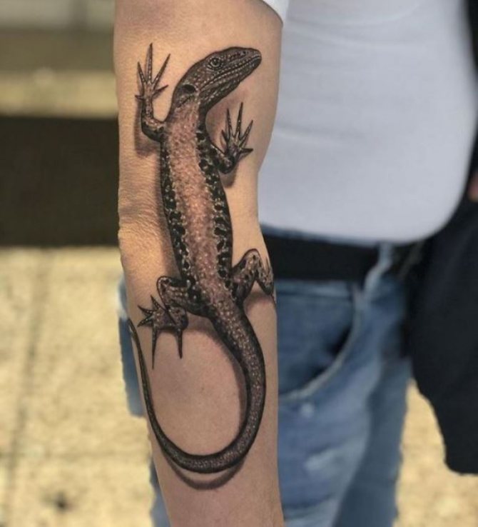 σαύρα σύμβολο του τι