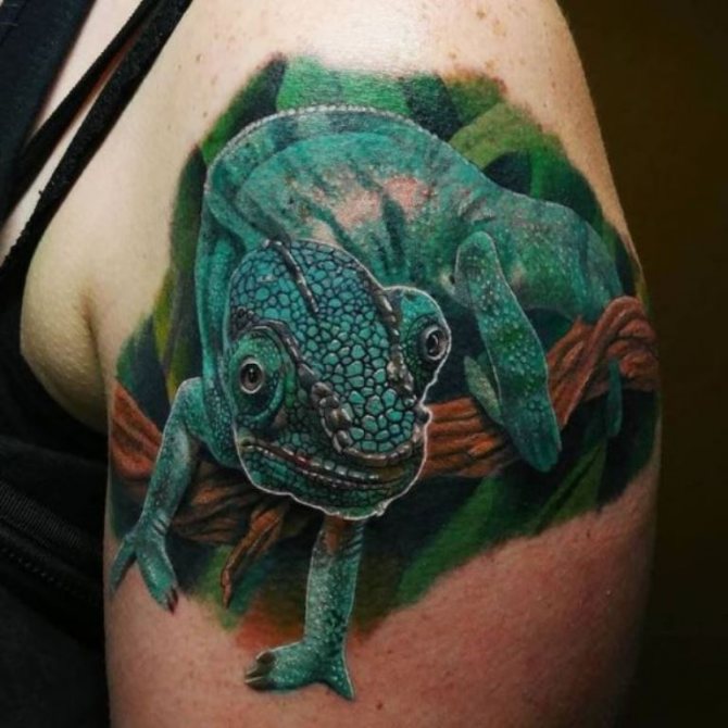 σαύρα συμβολίζει