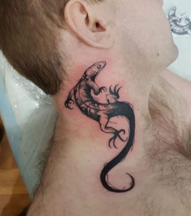 σαύρα έννοια