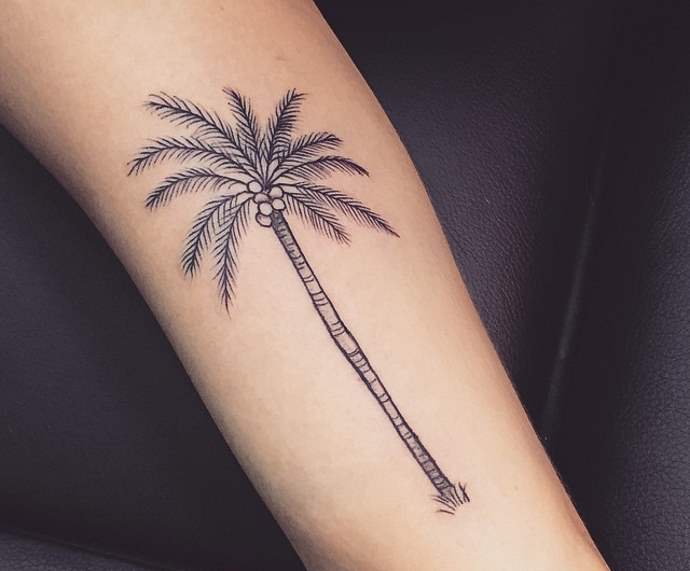 Südlicher Baum im Minimalismus