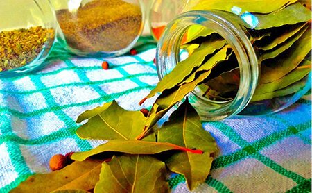 Pronásledování štěstím