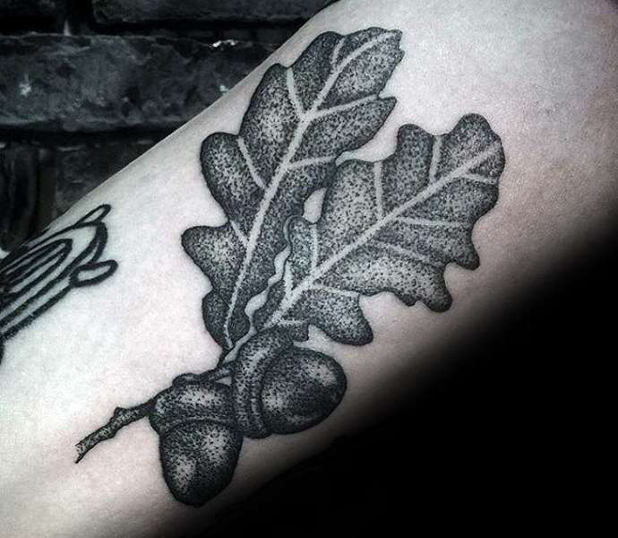 acorn and oak leaves