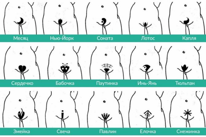 women's intimate hairstyles