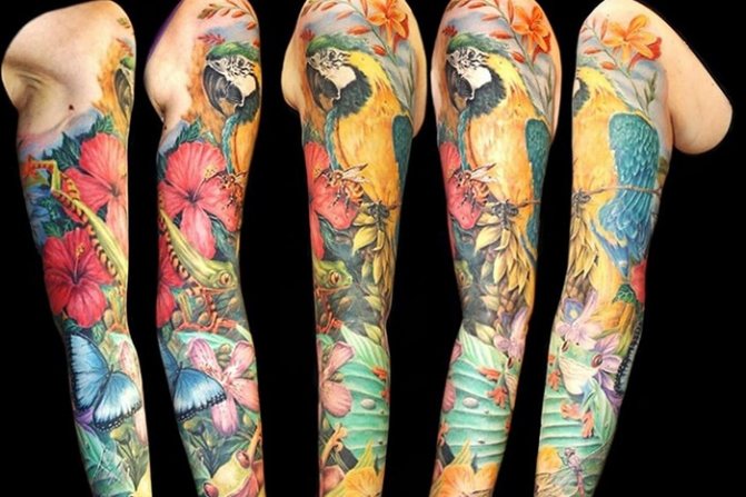 Животни и растения