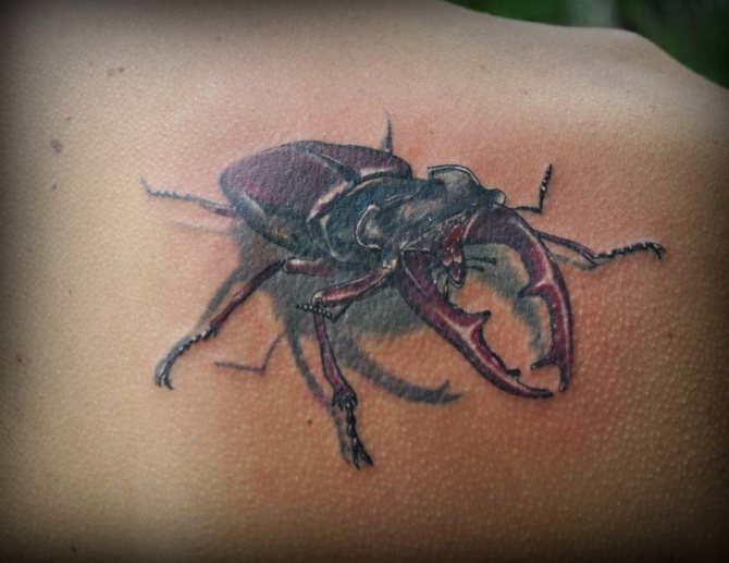 The beetle tattoo is applied to thieves