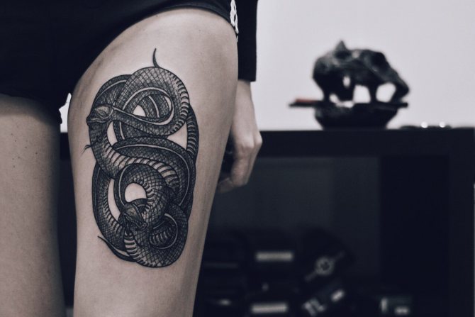 Serpents sur la hanche