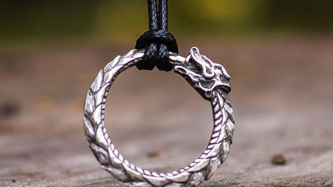 Φίδι που δαγκώνει τον εαυτό του από την ουρά του