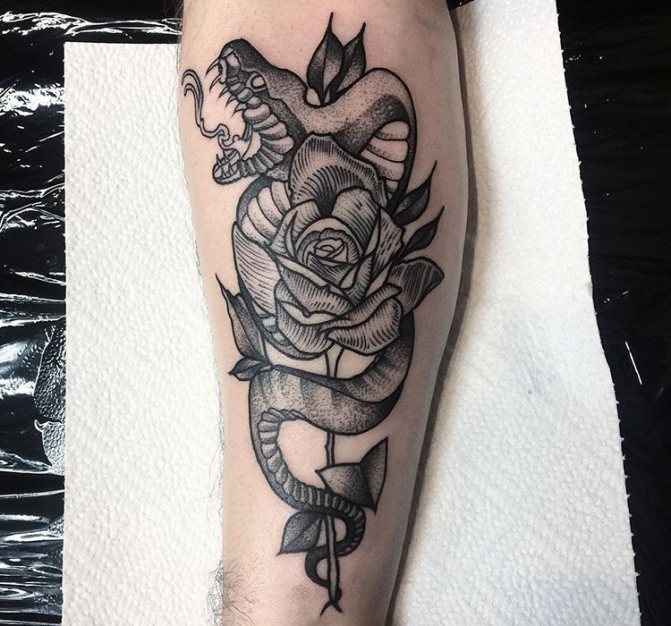 Serpent sur l'avant-bras