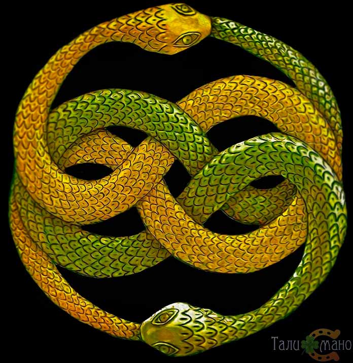 Φίδι που καταβροχθίζει την ουρά του