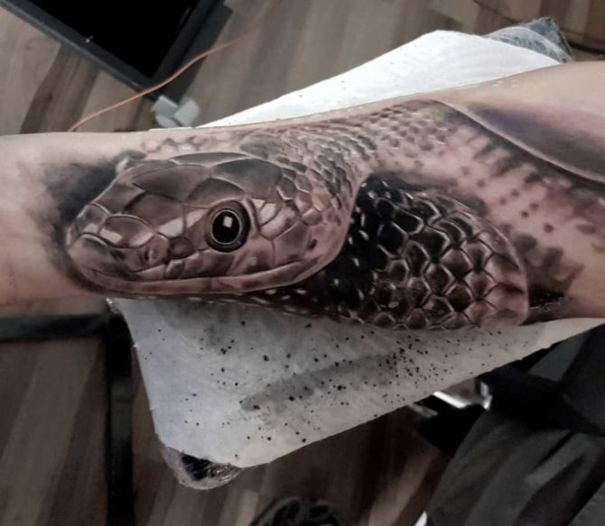 kígyó tetoválás jelentése egy nőnél