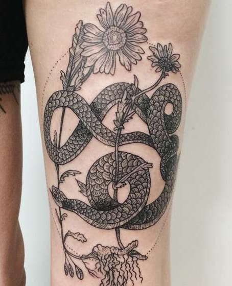 A snake curls around a flower