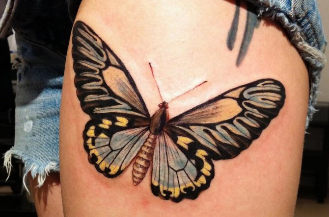 signification du tatouage du papillon