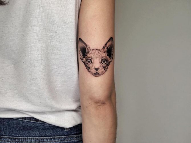 signification du tatouage d'un chat sur une fille