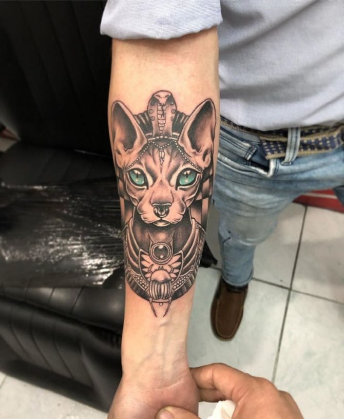 signification du tatouage d'un chat