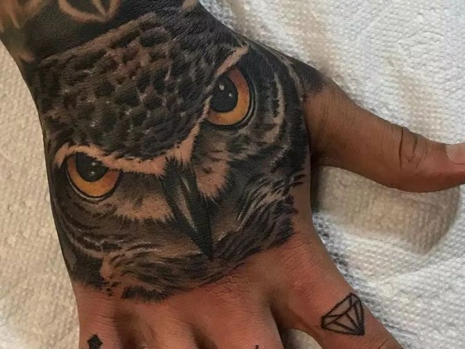 Signification du tatouage de chouette sur le cou d'un homme