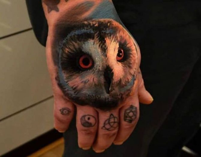 Signification du tatouage de chouette sur le cou d'un homme