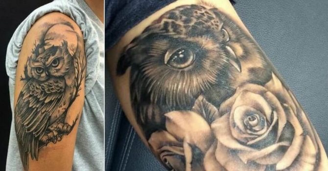 Signification du tatouage de chouette sur le cou d'un homme