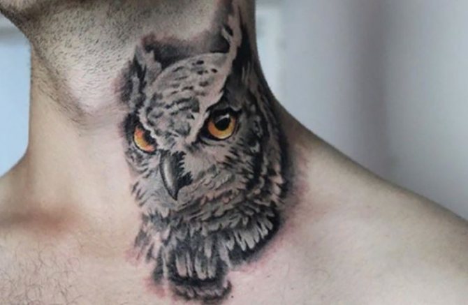 Signification du tatouage de chouette sur le cou d'un homme