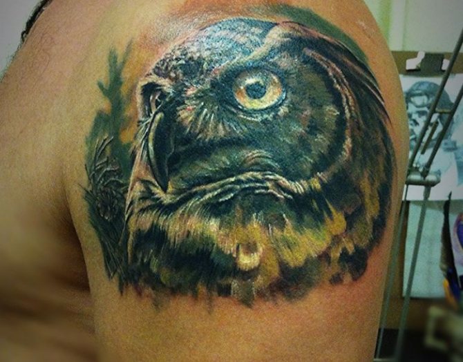 Signification du tatouage de chouette sur le cou d'un homme